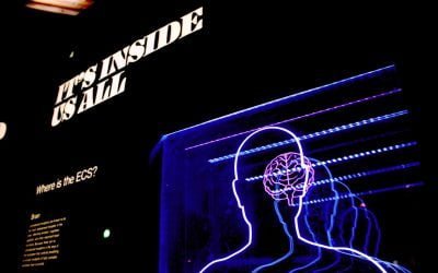 Sydney Driscoll Neuroscience Foundation Annual Lecture – 2023